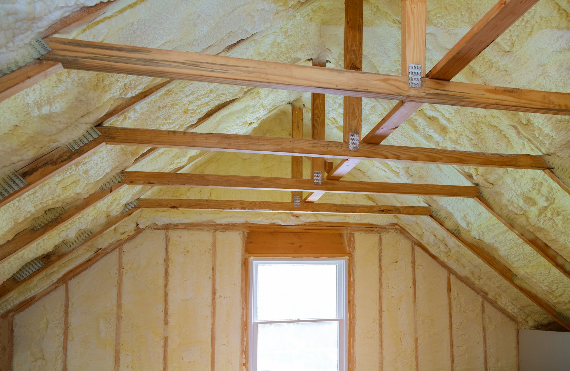 Protect Your Home from Insulation-Related Issues