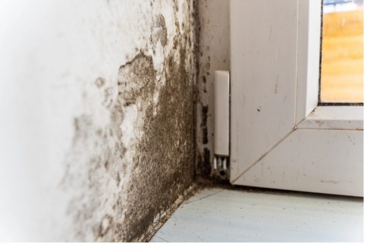 How Insulation Helps Control Humidity in Your Home